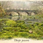 Digitalna ilustracija slovenskih pokrajin in zanimivosti - Divje jezero